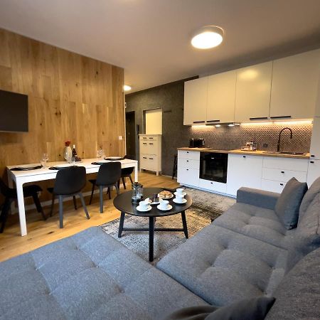 Urban Apartments Premium No 3, Free Private Parking, Self Check-In Chorzów Eksteriør billede